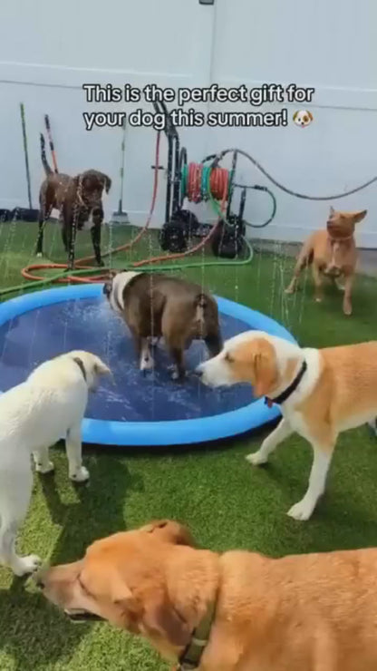 Summer Splash Thickened Pet Water Mat
